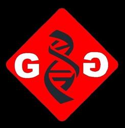 G&G Engineering Srl, Trento orari di apertura