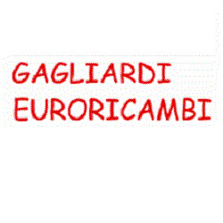 Euroricambi Gagliardi, Manfredonia orari di apertura