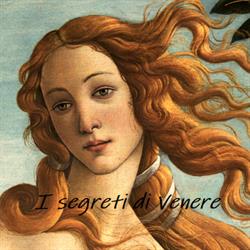 I Segreti Di Venere S.R.L., Mercato San Severino orari di apertura