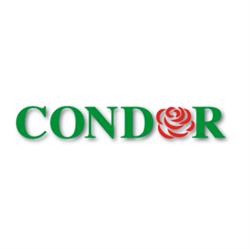 CONDOR, Scafati orari di apertura