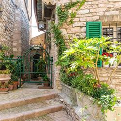 La Viola di Assisi, orari di apertura