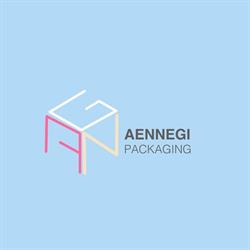 Aennegi srl, Giugliano in Campania orari di apertura