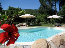Agriturismo San Processo, Castel del Piano orari di apertura