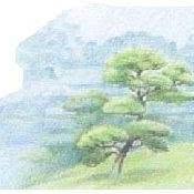 Mattoncino Verde, Malo orari di apertura