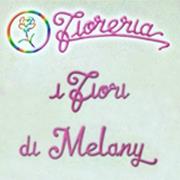 I Fiori di Melany, Foggia orari di apertura