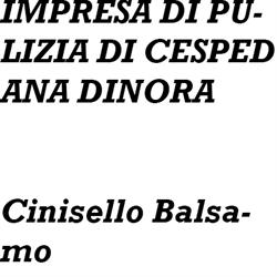 Impresa di Pulizia di Cesped Ana Dinora, Cinisello Balsamo orari di apertura