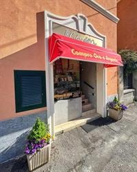 Il Colore Dell'oro, Alessandria orari di apertura