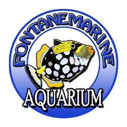Fontanemarine Aquarium, Catania orari di apertura