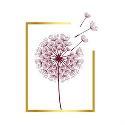 PENSIERO IN FIORE DI VALENTE DAMIANO, Roma orari di apertura