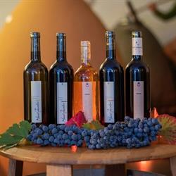 Marcel Zanolari Casa Vinicola la Torre, Bianzone orari di apertura