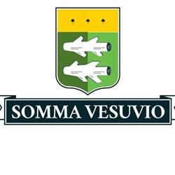 Bed and breakfast Sommavesuvio, Pollena Trocchia orari di apertura