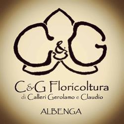 Calleri C. & G. Floricoltura, Albenga orari di apertura