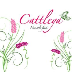 Cattleya di Indelicato Alessandra & C. s.a.s., Giarre orari di apertura