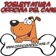 Toelettatura Officina del cane, Massa Lombarda orari di apertura