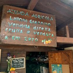 AZIENDA AGRICOLA GIACOMO LALLONI, Ancona orari di apertura