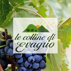 Le Colline di Evagrio, Cupello orari di apertura