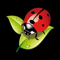 La Frutteria srl, Terontola orari di apertura