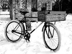 Passione Bici, Pavia orari di apertura