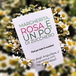 Margherita Rosa e un po' di Zucchero, Capranica orari di apertura