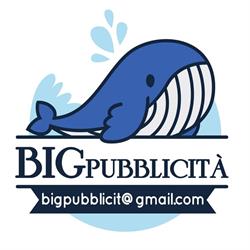 BIG Pubblicità, San Vincenzo orari di apertura