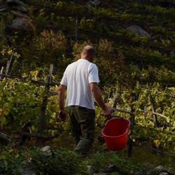 Azienda agricola Isiya, Exilles orari di apertura