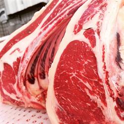 Nuovi Sapori, Francavilla Fontana orari di apertura
