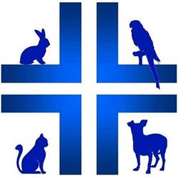 CLINICA VETERINARIA VIALE FUSINATO, Vicenza orari di apertura