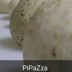 Pipazza Pratza Food, Serrenti orari di apertura