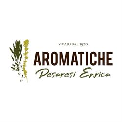 Aromatiche Pesaresi Enrica, Rimini orari di apertura