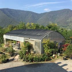 Azienda Agricola El Vivero, Concesio orari di apertura