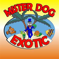 Mister Dog Exotic, Bari orari di apertura