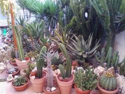 B&B SA REMADA, Oristano orari di apertura