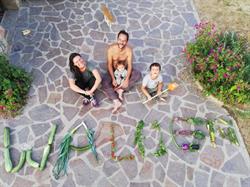Agriturismo Fattoria Walden, Ficulle orari di apertura