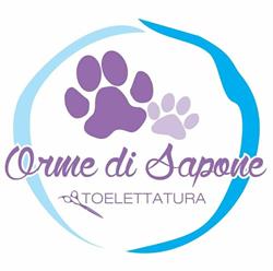 Orme di Sapone Di Cimatti Alice, Forlì orari di apertura