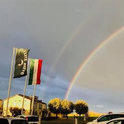 ELITE AUTO S.r.l., Marotta orari di apertura
