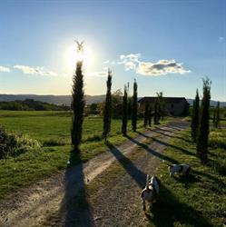 Tenuta La Santissima, San Rocco a Pilli orari di apertura