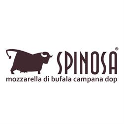 Spinosa Spa, Castel Volturno orari di apertura