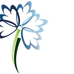 Essenza dei fiori f, San Vitaliano orari di apertura