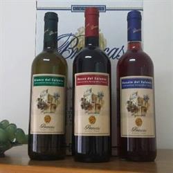 copati food s.a.s., Brindisi orari di apertura
