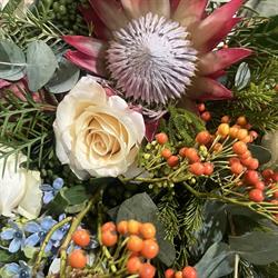 Fiori e Colori S.n.c. di Conca G. e C., Lodi orari di apertura