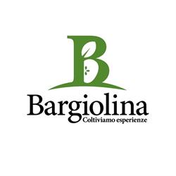 Bargiolina, Barge orari di apertura
