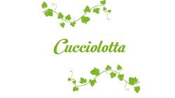 Cucciolotta By It Design Srl, Giaveno orari di apertura