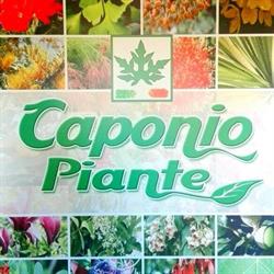 Caponio Piante, Francavilla Fontana orari di apertura