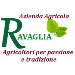 Azienda Agricola Ravaglia, Civitella di Romagna orari di apertura