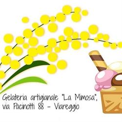 Gelateria "La Mimosa", Viareggio orari di apertura