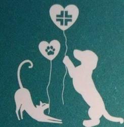Ambulatorio Veterinario San Lorenzo, Civitanova Marche orari di apertura