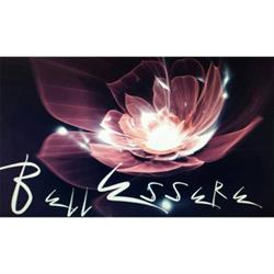 Bellessere di Anna Falcone, Chieti Scalo orari di apertura