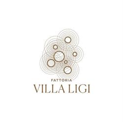 Fattoria Villa Ligi, Pergola orari di apertura