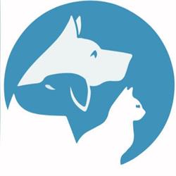 Ambulatorio Veterinario Lametino, Feroleto Antico orari di apertura