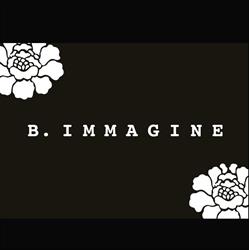Boutique Immagine, Castelfranco Veneto orari di apertura